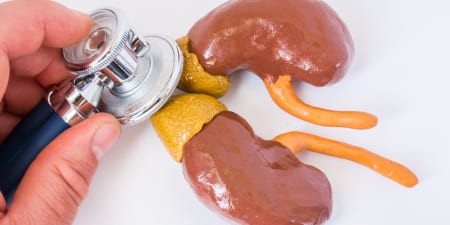 An urologist checking the adrenal gland model illustrate the bilateral adrenal gland excision.