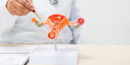 An urologist pointing to an uterus model illustrates complete bladder analysis.