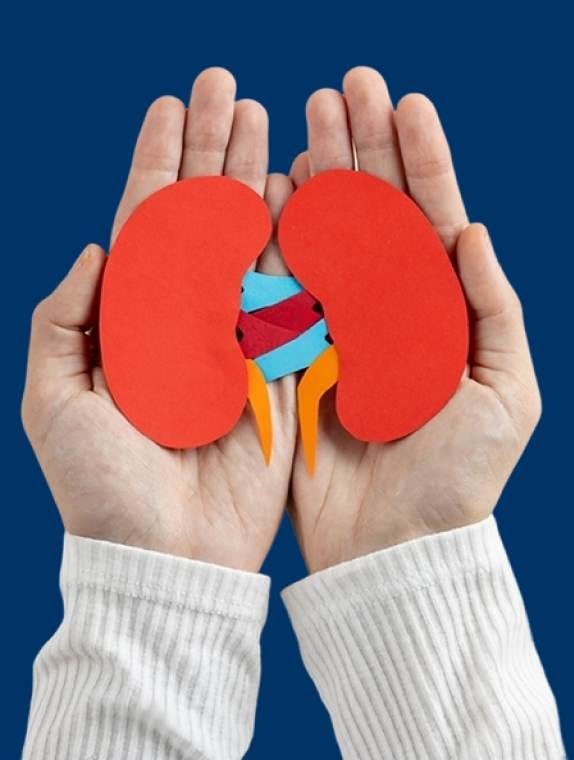Hands protecting kidneys illustrating the complete care of urology system.