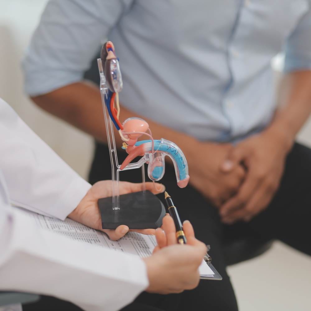 A doctor discussing a prostate model with a patient.