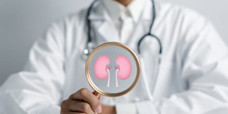 An urologist viewing a kidney model for suspicious adrenal masses.
