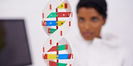 A person viewing a DNA structure.