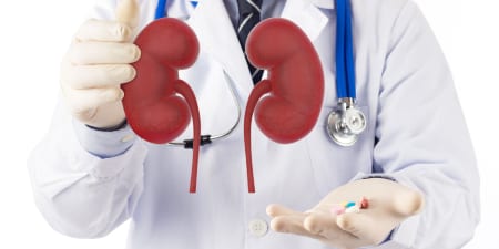 An urologist holding a pair of kidneys to protect from advanced kidney disease.