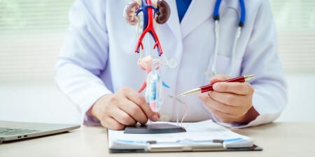 An urologist explaining stricture urethra by pointing to a model of prostate.