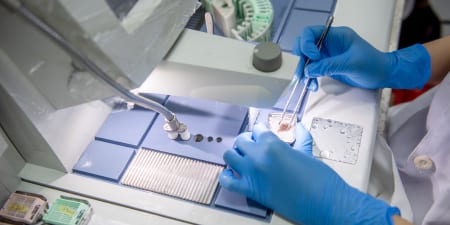 A health professional testing for testicular cancer in a laboratory.