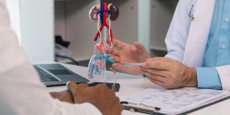 An urologist explaining testicular cancer by pointing to a model of prostate.