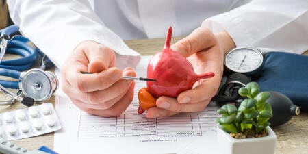 An urologist pointing to a urinary bladder model to raise awareness about bladder cancer.