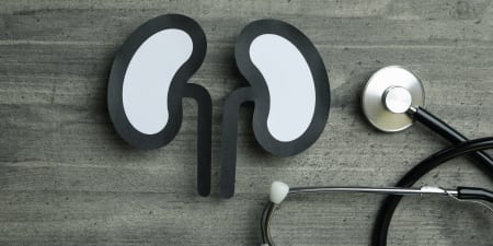 A pair of kidney models illustrate uroflowmetry.