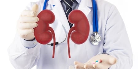 An urologist showing model kidneys illustrating the identification of non-cancerous masses.