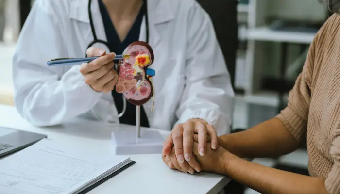 An urologist pointing a model kidney and discussing with a patient about laparoscopic nephrectomy.