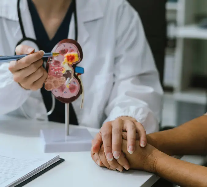An urologist explains the treatment options for kidney stones with a model.